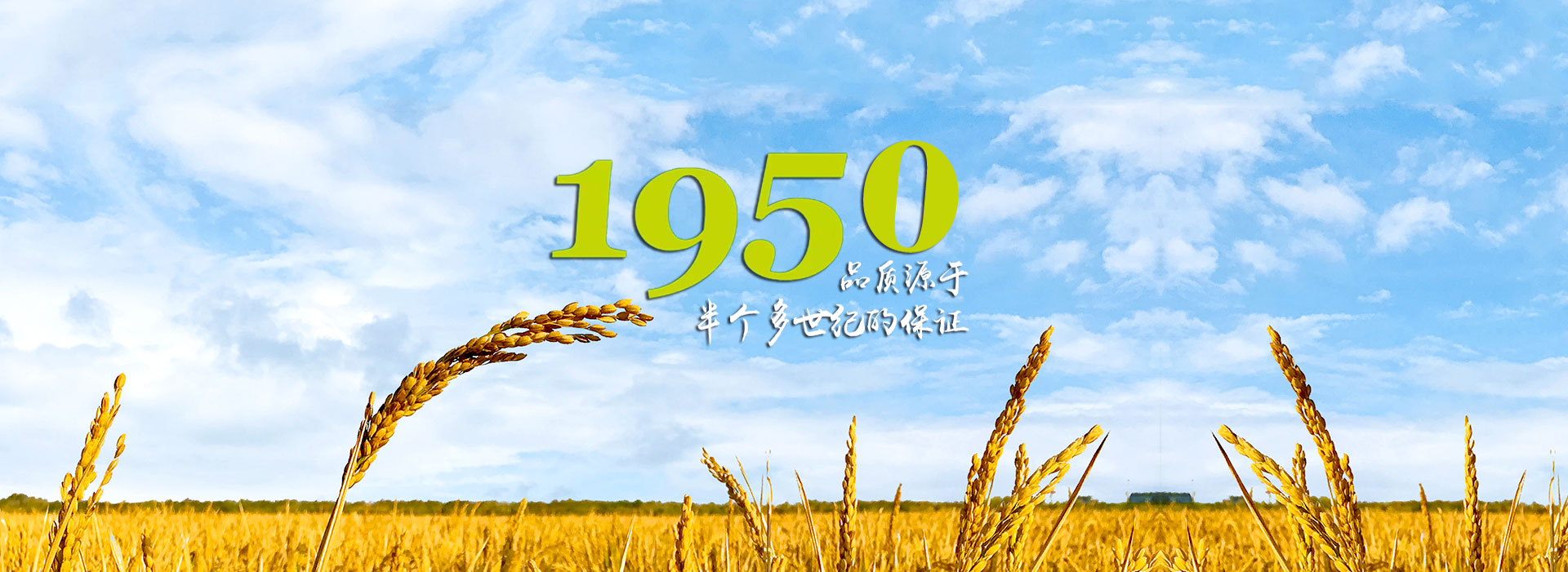 歡迎您來(lái)到專(zhuān)業(yè)的電抗器廠(chǎng)家-能曼電氣電抗器公司網(wǎng)站！公司專(zhuān)業(yè)生產(chǎn)電抗器與各種配電產(chǎn)品，歡迎大家聯(lián)系洽談合作!相信我們的服務(wù),您一定會(huì)滿(mǎn)意的.電抗器專(zhuān)線(xiàn):021-51000326